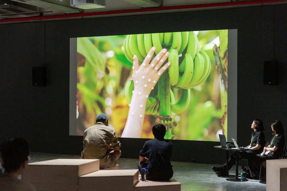 點擊觀看大圖-「共域」之一:《群島之海》,島嶼d:「香蕉幣可能成為群島間流通的貨幣嗎?」(李奎壁、李佳霖),圖像由臺北市立美術館提供 「共域」之一:《群島之海》,島嶼d:「香蕉幣可能成為群島間流通的貨幣嗎?」(李奎壁、李佳霖),圖像由臺北市立美術館提供-圖片