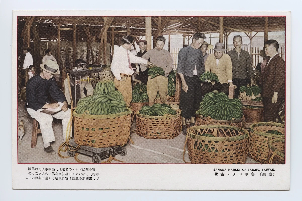 點擊觀看大圖-台中香蕉市場,Lafayette Digital Repository典藏。來源:http://digital.lafayette.edu/collections/eastasia/lewis-postcards/lw0174 台中香蕉市場,Lafayette Digital Repository典藏。來源:http://digital.lafayette.edu/collections/eastasia/lewis-postcards/lw0174-圖片
