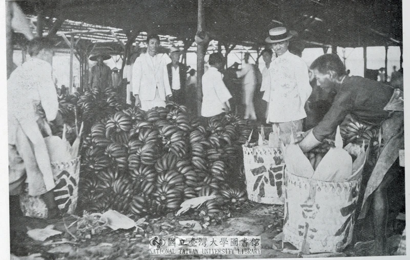 點擊觀看大圖-〈荷造臺灣青果株式會社〉,《日本地理大系.臺灣篇》,1930-1931,國立台灣大學圖書館典藏 〈荷造臺灣青果株式會社〉,《日本地理大系.臺灣篇》,1930-1931,國立台灣大學圖書館典藏-圖片