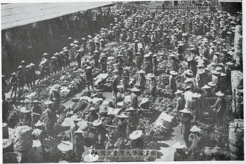 點擊觀看大圖-〈荷造臺灣青果株式會社〉,《日本地理大系.臺灣篇》,1930-1931,國立台灣大學圖書館典藏 〈荷造臺灣青果株式會社〉,《日本地理大系.臺灣篇》,1930-1931,國立台灣大學圖書館典藏-圖片