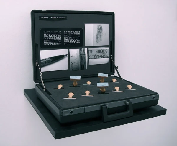 圖 2-１ 朱利安．佩維厄，〈手提皮箱 I〉(MALLETTE n°1)，50 x 40 cm，複合媒材，2006。Courtesy of Jousse entreprise gallery-圖片