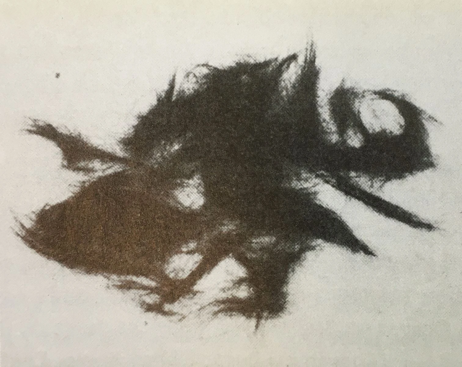 點擊觀看大圖-Fig.3 Randomly collected sample of human hair collected from a barber shop in Petaling Jaya Sulaiman Esa, http://www.sulaimanesa.com/works/post-london/, Sulaiman Esa Art Space, 2016, 05/05/2017 Fig.3 Randomly collected sample of human hair collected from a barber shop in Petaling Jaya Sulaiman Esa, http://www.sulaimanesa.com/works/post-london/, Sulaiman Esa Art Space, 2016, 05/05/2017-圖片