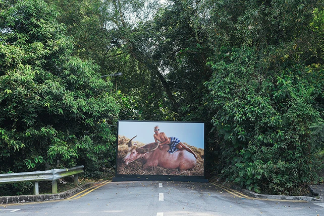 Fig. 5 Maitree Siriboon, Dream of Beyond Part 2, 2010, photograph light box, 300×450×50 cm. Exhibited as part of Gillman Barracks’ public art showcase LOCK ROUTE, 2017. Photo credit: Gillman Barracks.-圖片