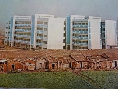 【圖1】1965年斯文里平民住宅竣工與周邊傳統住宅（資料來源：臺灣省社會處，1966）-圖片