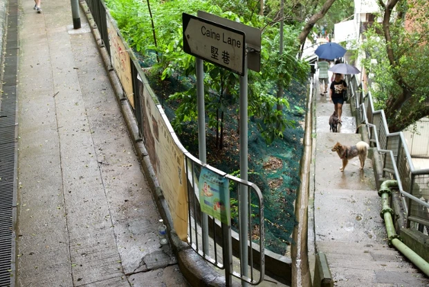 圖2 堅巷週邊繁忙而互相穿插的窄巷和樓梯；2017年景致。-圖片