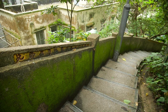 圖23 像山間蜿蜒小徑的樓梯，水泥扶手刻有題字；2017年景致。-圖片