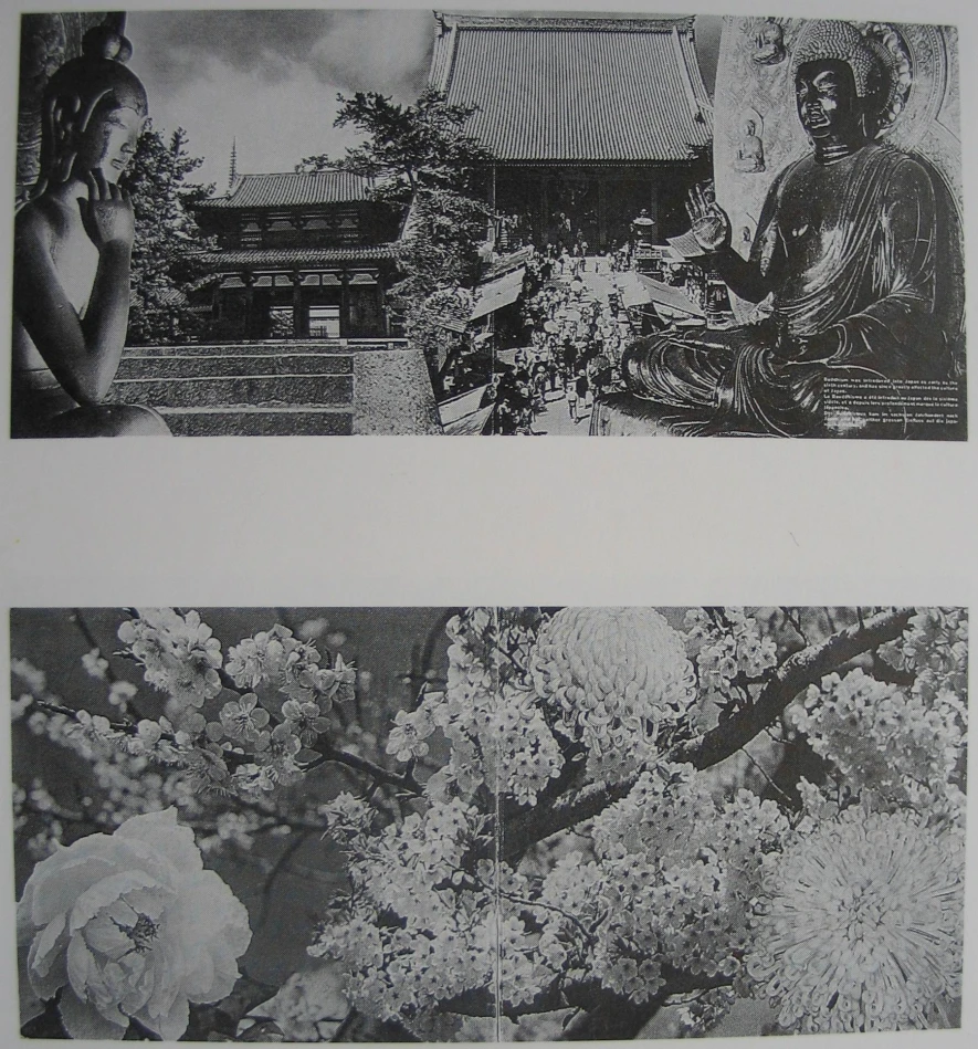 圖11 《日本》內頁之一-圖片