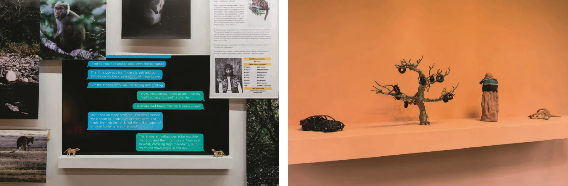 吳思嶔，2016，《澳大利亞》，複合媒材，尺寸依場地而定。-圖片