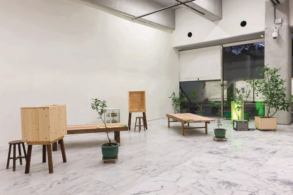 點擊觀看大圖-2013臺北美術獎得主黃博志作品展場一景 2013臺北美術獎得主黃博志作品展場一景-圖片