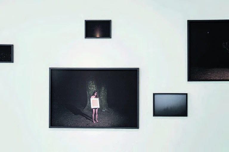 點擊觀看大圖-2015臺北美術獎得主王湘靈,2014,《質變》,無酸相紙輸出。 2015臺北美術獎得主王湘靈,2014,《質變》,無酸相紙輸出。-圖片