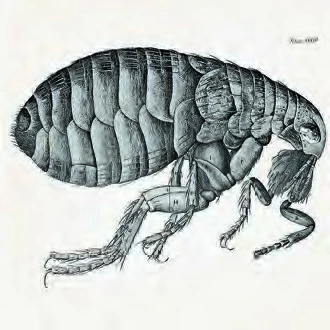 點擊觀看大圖- -圖片