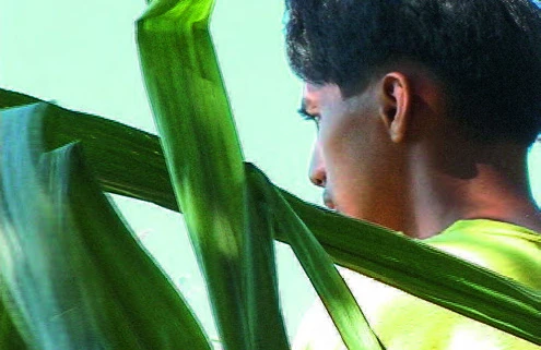 《那一年的夏天》，2001，彩色有聲，32分。©王雅慧-圖片