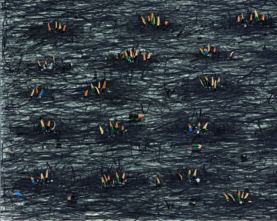 點擊觀看大圖-《田一&田二》作品圖局部,2012,數位版畫、鉛筆木屑,82×102cm×(2)。 《田一&田二》作品圖局部,2012,數位版畫、鉛筆木屑,82×102cm×(2)。-圖片