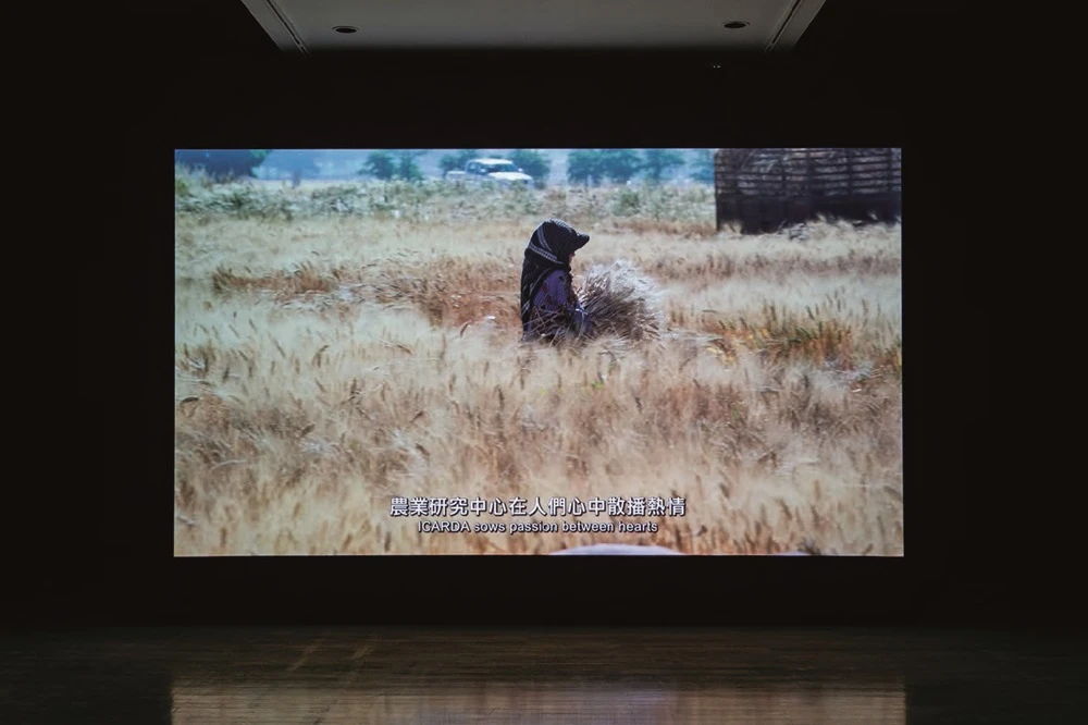 點擊觀看大圖-茱瑪納.曼娜《野生近緣種》於本屆台北雙年展展覽現場 茱瑪納.曼娜《野生近緣種》於本屆台北雙年展展覽現場-圖片