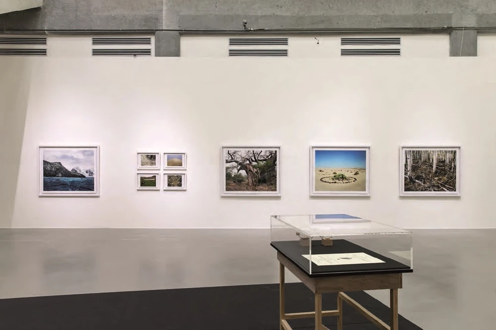 點擊觀看大圖-瑞秋.薩斯曼《世界上最古老的生物》於本屆台北雙年展展覽現場 瑞秋.薩斯曼《世界上最古老的生物》於本屆台北雙年展展覽現場-圖片