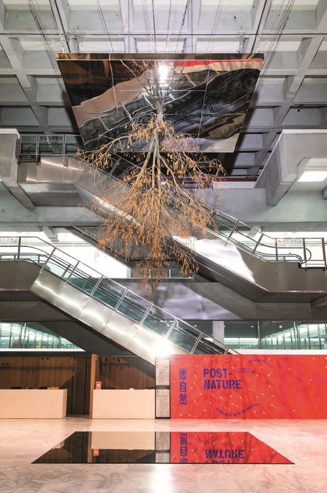 點擊觀看大圖-亨利克.赫肯森《顛倒的樹(映射)》於本屆台北雙年展展覽現場 亨利克.赫肯森《顛倒的樹(映射)》於本屆台北雙年展展覽現場-圖片