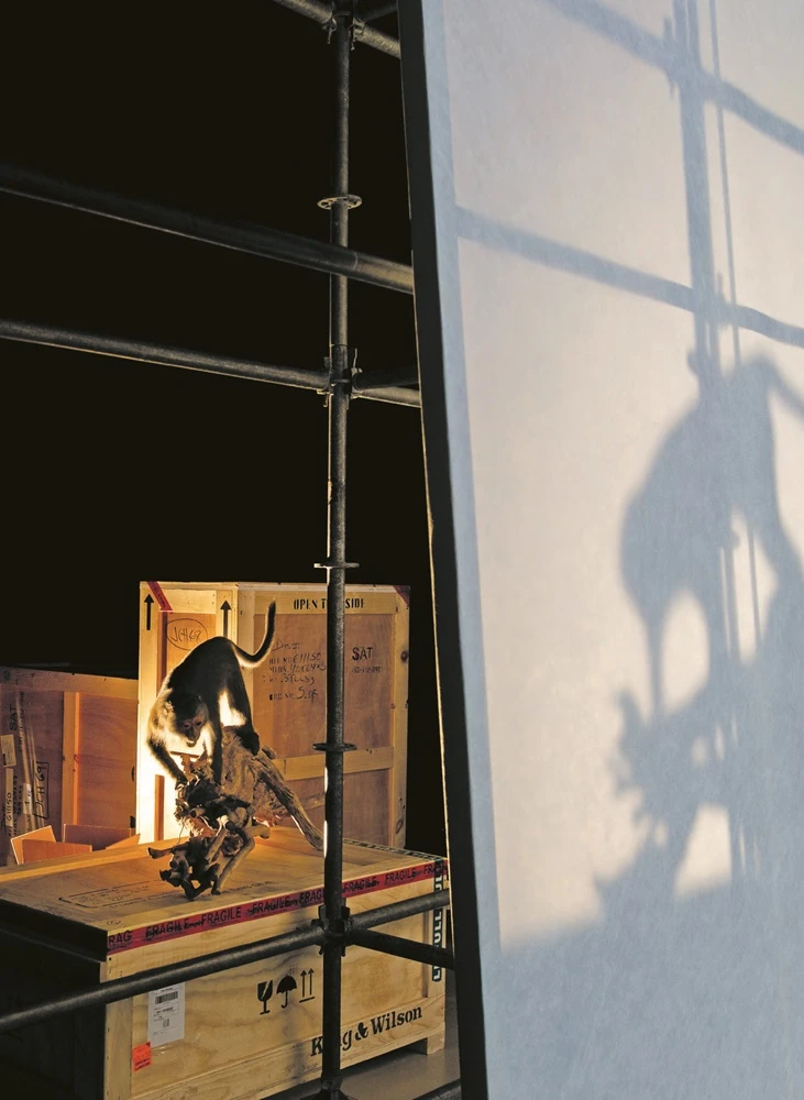 點擊觀看大圖-《非人類博物館》於本屆台北雙年展展覽現場 《非人類博物館》於本屆台北雙年展展覽現場-圖片