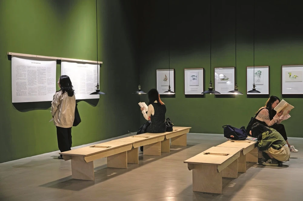 點擊觀看大圖-吳明益《苦雨之地》於本屆台北雙年展展覽現場 吳明益《苦雨之地》於本屆台北雙年展展覽現場-圖片