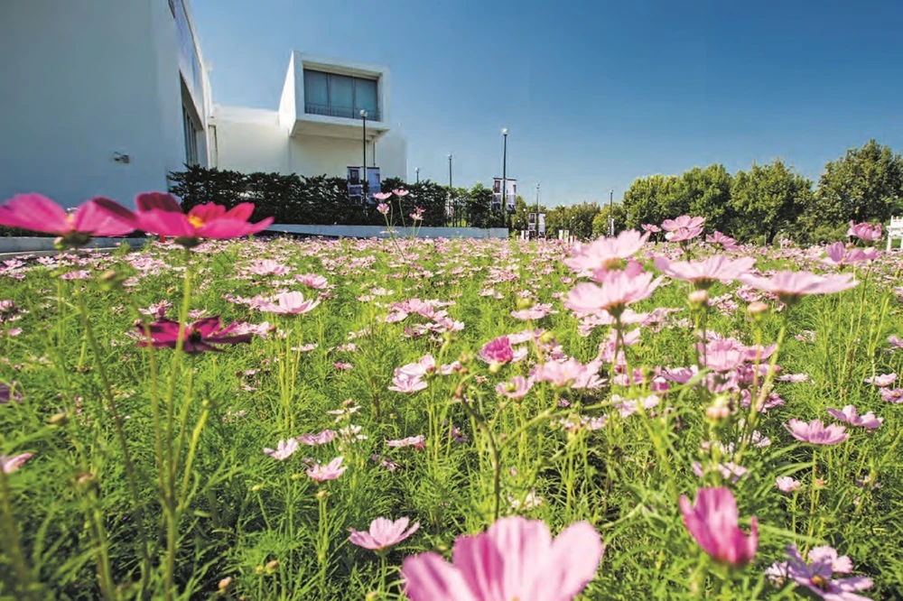 陳慧嶠《預許之地》展場一隅-圖片