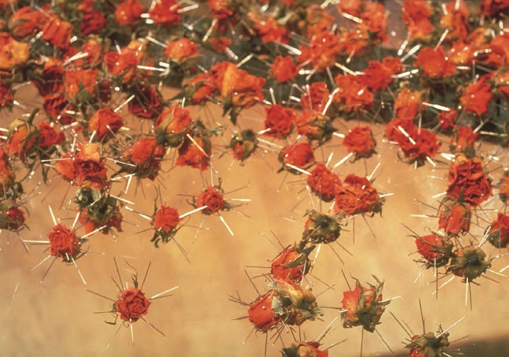 點擊觀看大圖-陳慧嶠,《你是玫瑰我是針》局部,1993,大頭針、乾燥玫瑰花,185×105×70cm。 陳慧嶠,《你是玫瑰我是針》局部,1993,大頭針、乾燥玫瑰花,185×105×70cm。-圖片