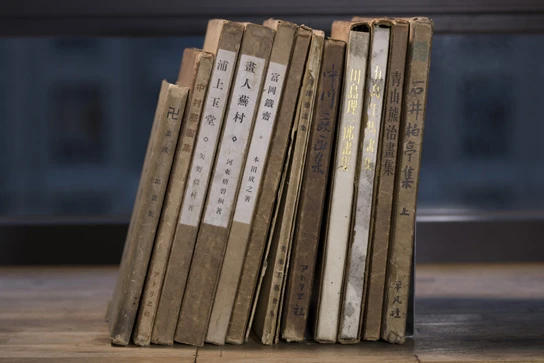 點擊觀看大圖-倪蔣懷藏書第三類日本畫家畫冊:《湯淺一郎畫集》、《中村彜畫集》、《有島生馬畫集》、《浦上玉堂》、《富岡鐵齋》、《萬鐵五郎畫集》、《畫人蕪村》、《中川一政畫集》、《川島理一郎畫集》、《有島生馬畫集》、《青山熊治畫集》、《石井柏亭集上》。 倪蔣懷藏書第三類日本畫家畫冊:《湯淺一郎畫集》、《中村彜畫集》、《有島生馬畫集》、《浦上玉堂》、《富岡鐵齋》、《萬鐵五郎畫集》、《畫人蕪村》、《中川一政畫集》、《川島理一郎畫集》、《有島生馬畫集》、《青山熊治畫集》、《石井柏亭集上》。-圖片