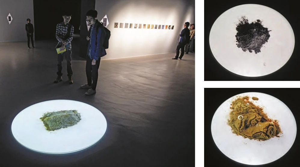 莎拉．德皮諾，《地平線B》（Horizon B），2018，影音裝置，展場一景。©Sarah del Pino-圖片