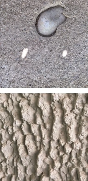 柔伊．柏諾瓦，《修道院的皮膚》（Peaux du couvent），2016，15張於玻璃上的彩色照片。©Zoé Benoit-圖片