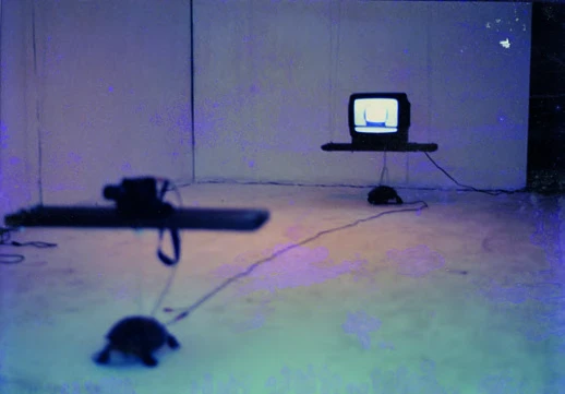 點擊觀看大圖-高俊宏,《暈眩裝置》,1997。 高俊宏,《暈眩裝置》,1997。-圖片
