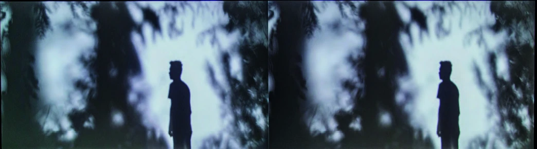 阿比查邦．韋拉斯塔古，《隱身》，2016，雙頻道同步錄像裝置。-圖片