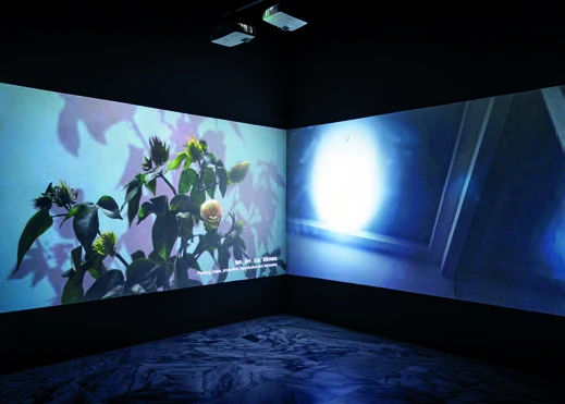 陳郁文，《洞穴凝視》，2019，錄像裝置展演計畫，25分鐘。-圖片