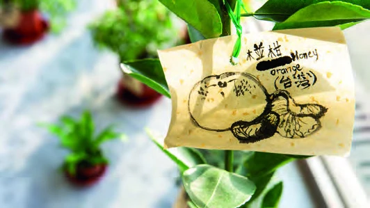 森人–太魯閣藝駐計劃，《森人–太魯閣藝駐計劃》，2019，複合媒材，尺寸依場地而定。-圖片