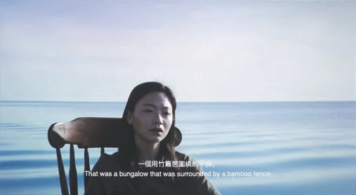 王耀億，《兩隻老虎》，2019，單頻道錄像，36分鐘。-圖片