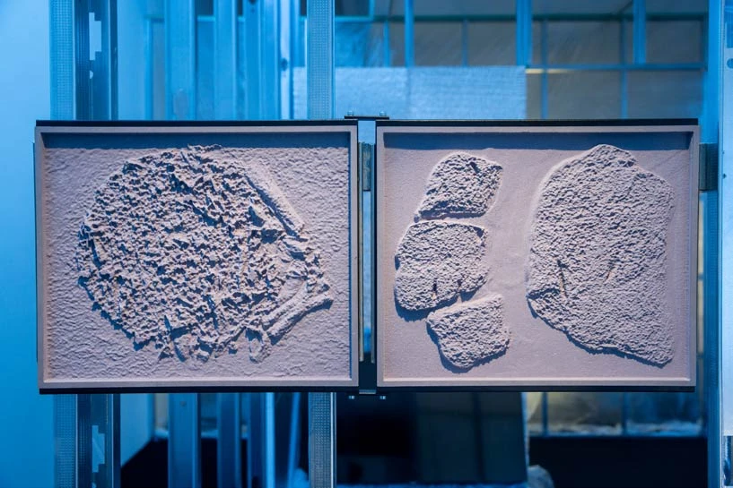 三隻古怪生物（絕種的象鳥、三葉蟲和蜥蜴）在房間裡重新活了過來，透過三個螢幕，一言一語地交談著「末人」（Last Man）-圖片