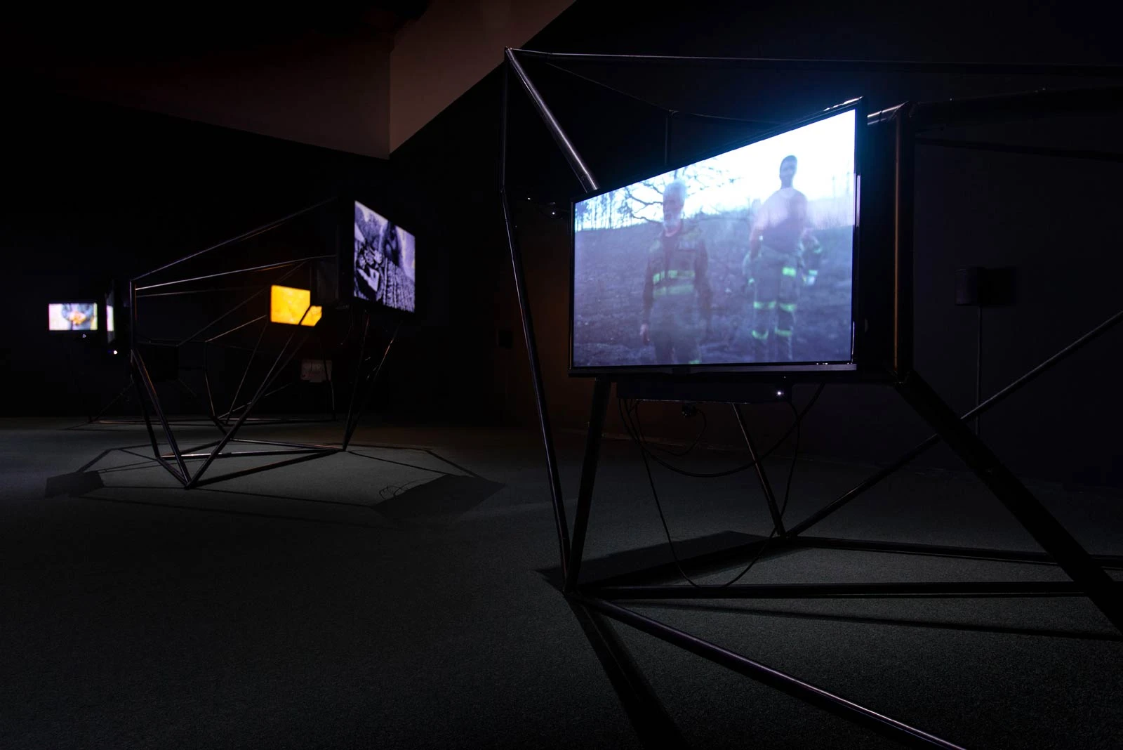 讓–米歇．弗東＋拉夏．莎提；COLLECTIVE，《跨物種影像交會》，2020，螢幕放映與聲音裝置-圖片