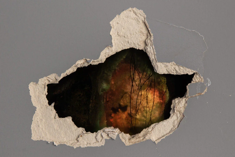 諾梅達＆吉帝米納斯．烏爾伯納斯，《沼澤智慧》（裝置一景），2018，人工智能裝置，sngan投影、立體場景，205×40×242cm。AI程式設計師：Jonas Kubilius-圖片