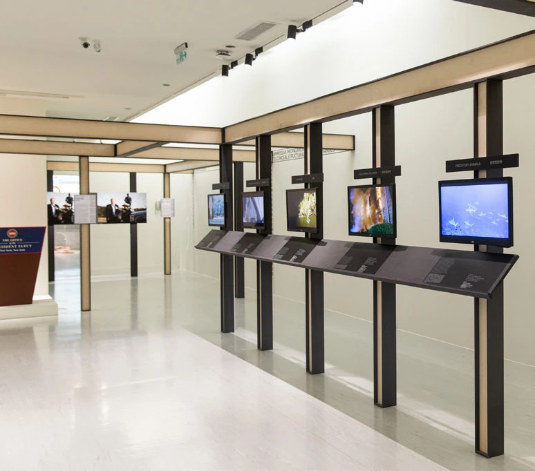 尤拿斯．史塔，《史蒂夫．班農：宣傳大業的梳理與回顧》，2018–2019，裝置-圖片