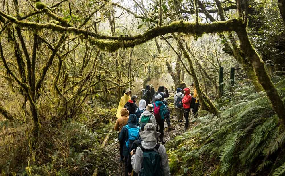 「通往世界的獸徑：潛行工作營」安排難得的田野走踏活動，圖為第三場「冰河孓遺生物，翻轉東西流域身世」-圖片