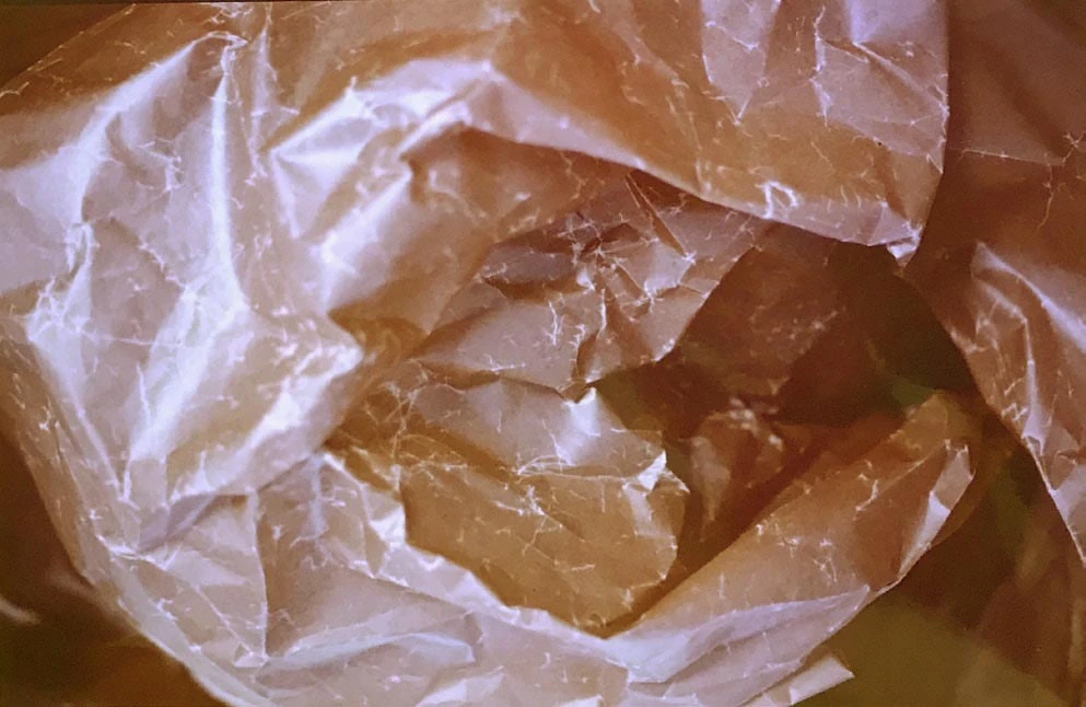 吳瑪悧的紙雕塑作品，約1984 ©吳瑪悧提供-圖片