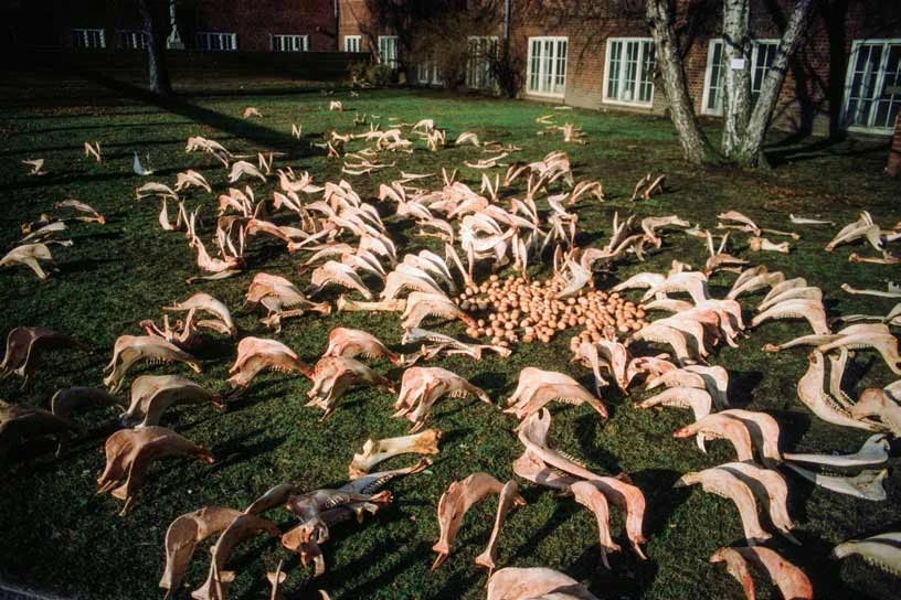 《尚未見到我的死》，1997，裝置（骨頭、蛋）， 漢堡美術學院， 德國；Photo: Chiharu Shiota-圖片