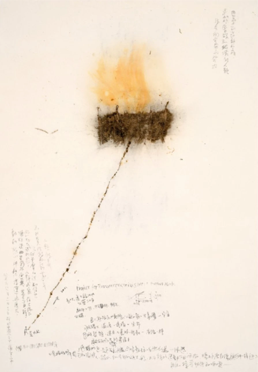 蔡國強，《人類的家：為外星人做的計畫第一號》，1989，火藥、紙，212.8×154.3cm；蔡工作室提供-圖片
