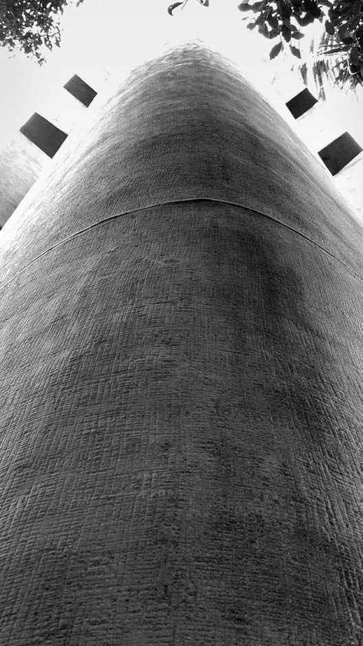 中央研究院植物暨微生物學研究所，1975，一角仰視，具有火箭意象，徐明松攝-圖片