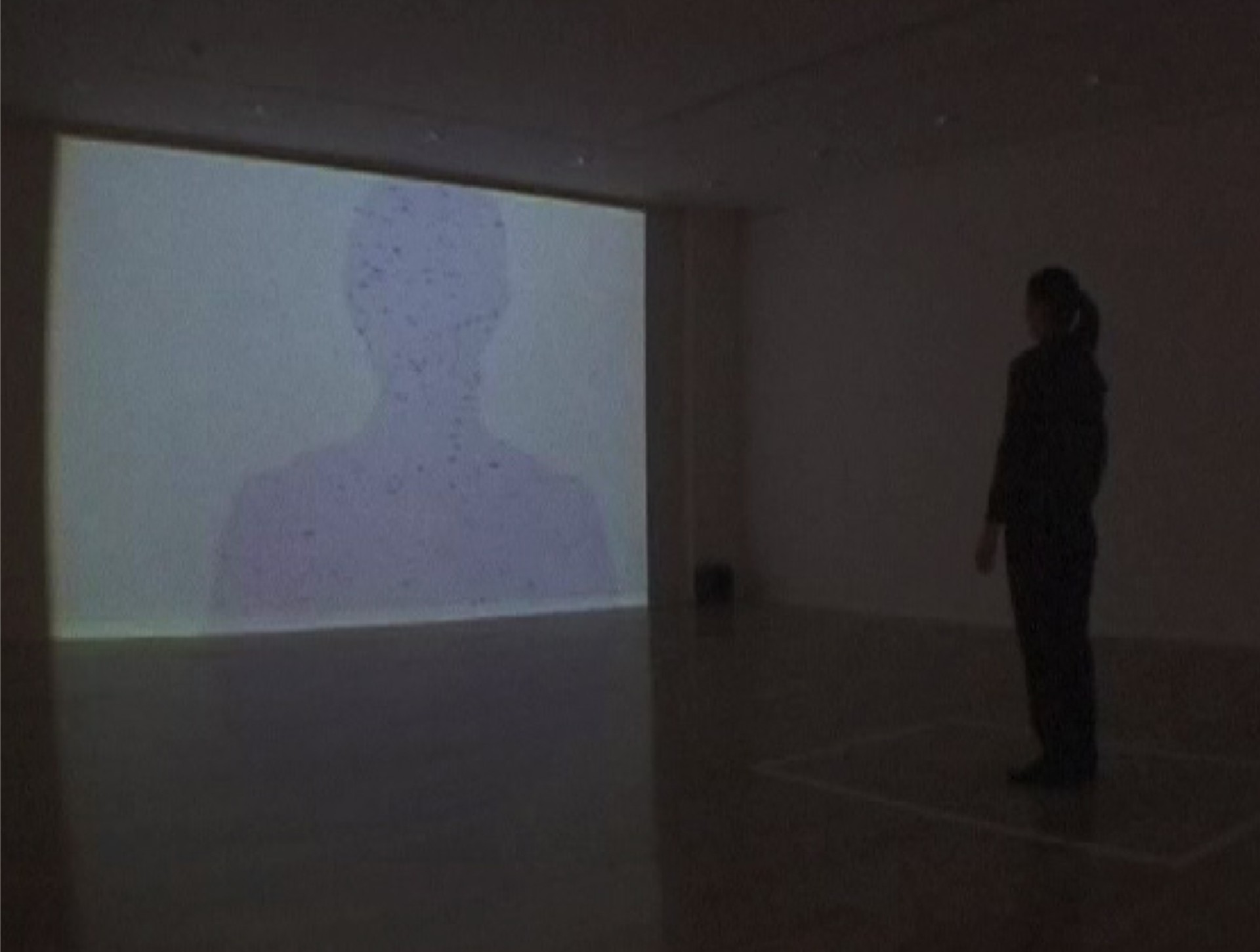 《祥瑞之光》，2004，互動裝置；「 Co4」於鳳甲美術館展場一景-圖片
