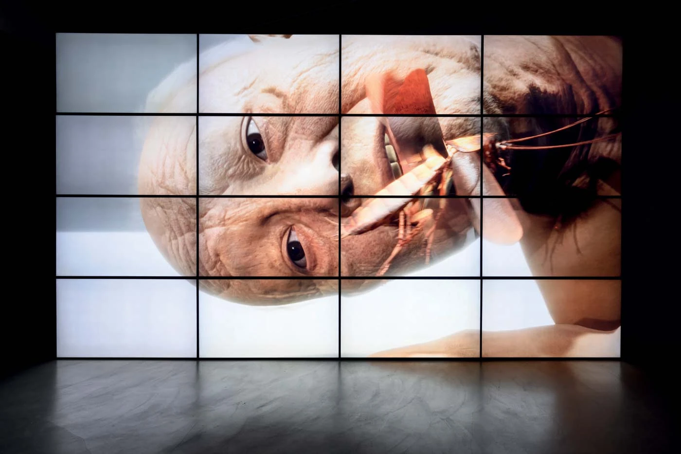 《椅子、砂紙、蟑螂、海、七、白蟻和香蕉》（展場一隅），CGI動畫，4K單頻道錄像，彩色有聲，循環播放，15分鐘，2021 ©台北市立美術館-圖片