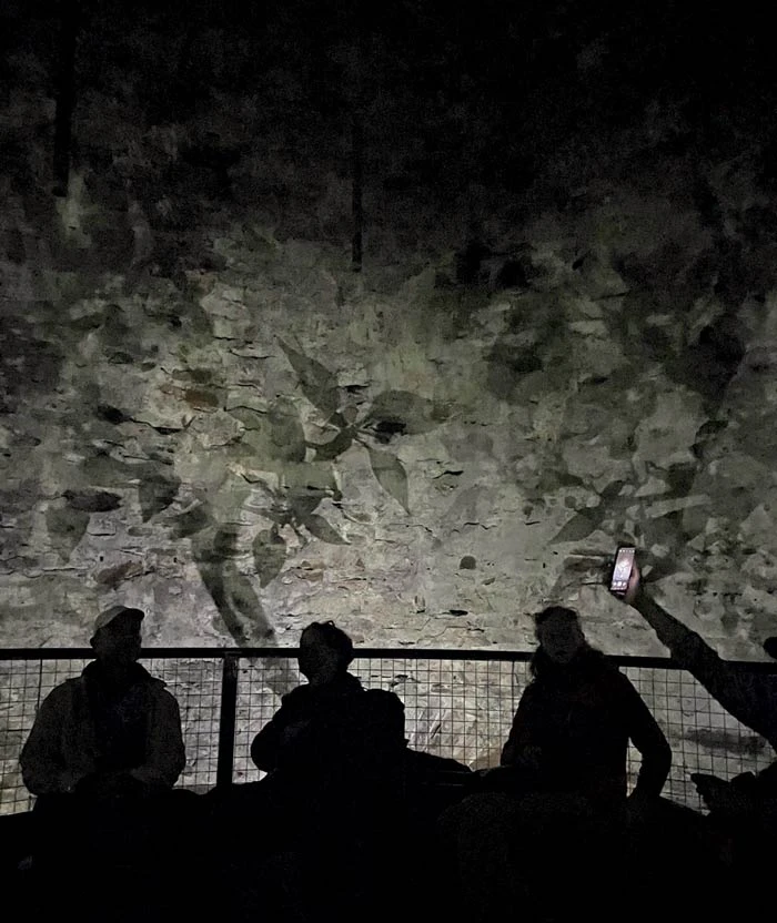 阮純詩投影作品-圖片