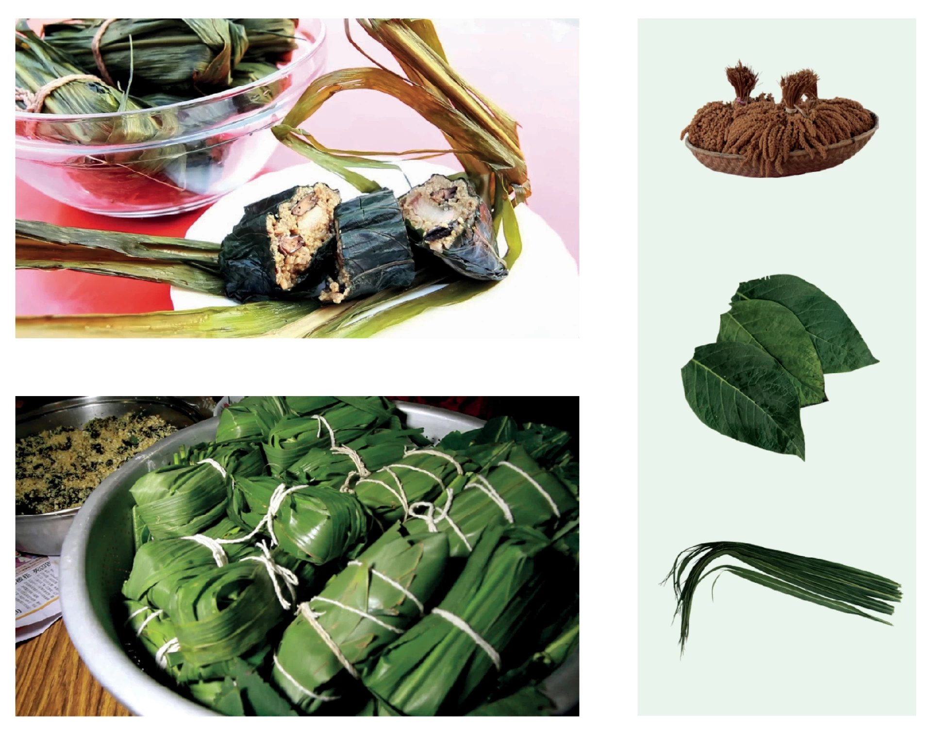（左上）煮好後切開的cinavu，（左下）包好、準備放入鍋的cinavu，後方是餡料；（右圖）小米（vagu）：跨及許多台灣原住民族群的重要傳統作物，同時也扮演著文化信仰的中心；假酸漿葉：可與餡料一起食用的內層包葉，內含植物鹼可幫助消化，對胃相當好；芒草：用於包裹固定食物便於煮食，不可食用，也經常用在祭儀法器-圖片