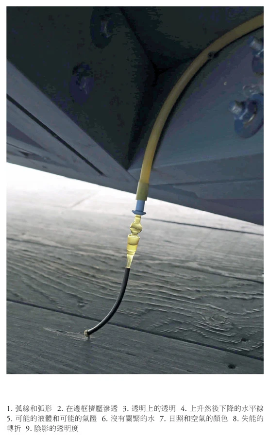 攝影｜張雅筑-圖片