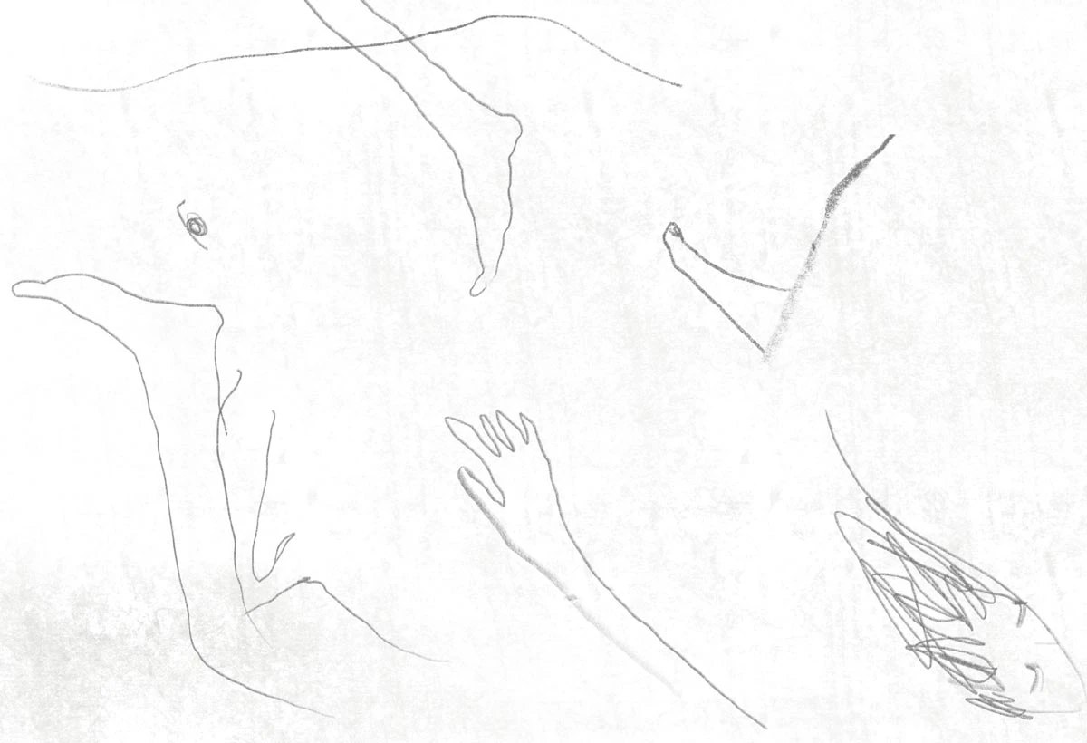 圖｜張雅筑-圖片