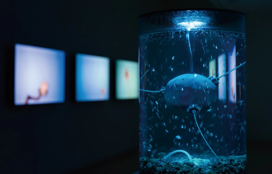 安娜．杜米楚與艾力克斯．梅伊（Anna Dumitriu & Alex May），《古菌機器人：後奇異點與後氣候變化時代的生命形式》 （<i>ArchaeaBot: A Post Singularity and Post Climate Change Life-form</i>），3D 列印人工智慧神經網絡水下機器人（聚乳酸、電子零件、樹莓派電腦），40 x 40 cm（機器人尺寸），2018。 ©Anna Dumitriu & Alex May 攝影：臺北市立美術館-圖片