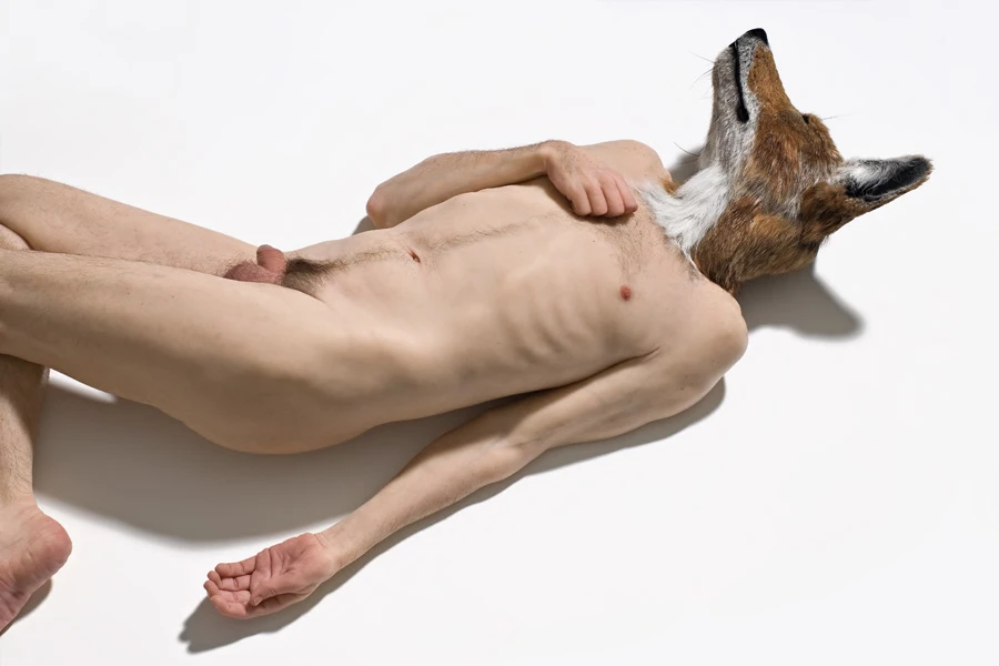 山姆．詹克斯（Sam Jinks），《犬頭》（<i>Doghead</i>），矽膠、人類毛髮、毛皮，30 x 140 x 60 cm，2008。 ©Sam Jinks 攝影：Graham Baring-圖片