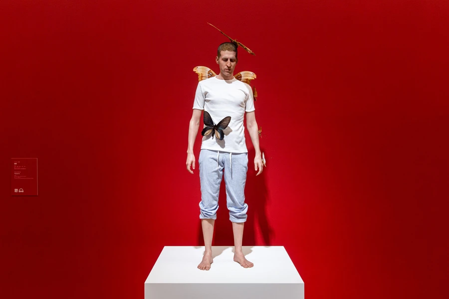 法比安．梅勒（Fabien Merelle），《蝴蝶》（<i>Papillons</i>），矽膠、樹脂、顏料、毛髮、布料，80 x 13 x 28 cm，2013。 ©Fabien Merelle 攝影：臺北市立美術館-圖片